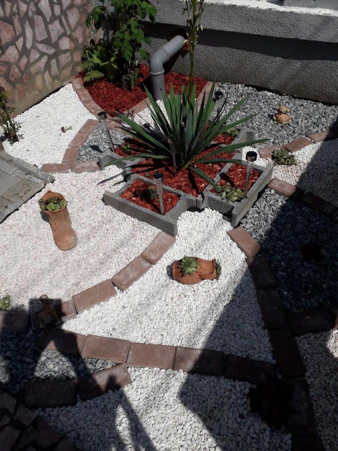 Casa Marian Ξενοδοχείο Σιγκισοάρα Εξωτερικό φωτογραφία