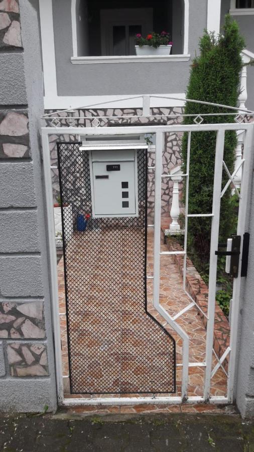 Casa Marian Ξενοδοχείο Σιγκισοάρα Εξωτερικό φωτογραφία